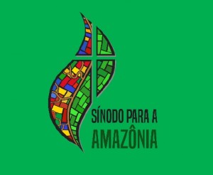 Sobre o Sínodo da Amazônia: Uma análise Teológica Sobre o Sínodo da Amazônia: Uma análise Teológica